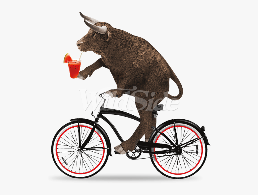 Clipart Bike Beach Cruiser - Bull Riding A Bike, Transparent Clipart