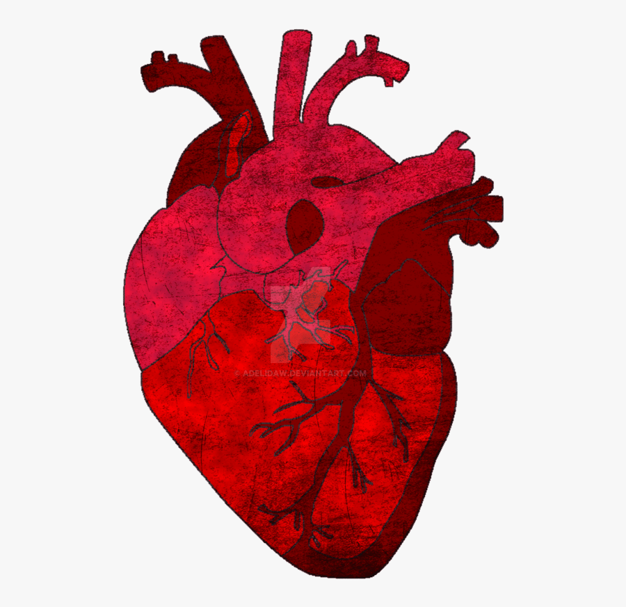 Gray"s Anatomy Saatchi Art Heart - Kooks, Transparent Clipart