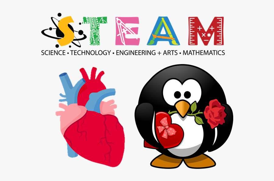 Steam Science Technology Engineering Mathematics, Transparent Clipart