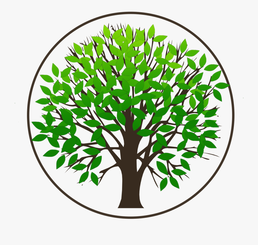 Ancestry Consulting By Aimee - 316 Stainless Steel Cookware, Transparent Clipart