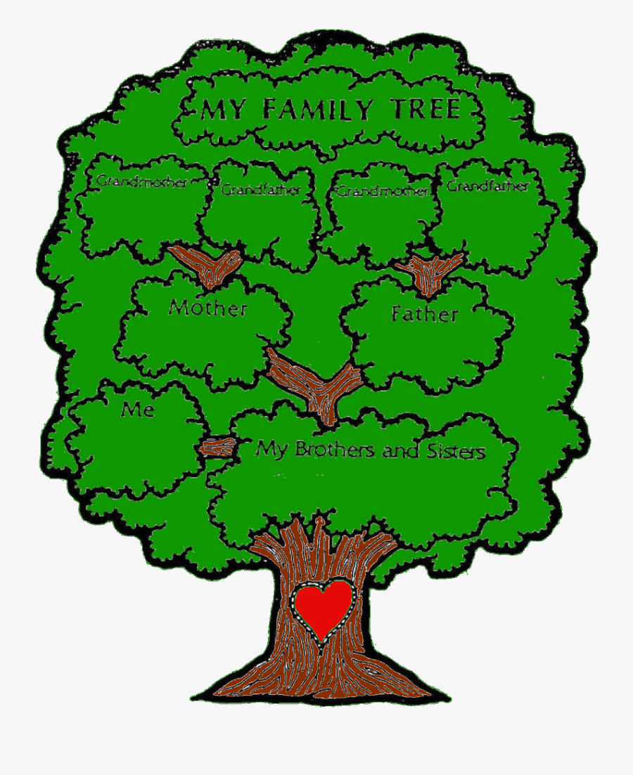 Picture - Creative Simple Family Tree, Transparent Clipart
