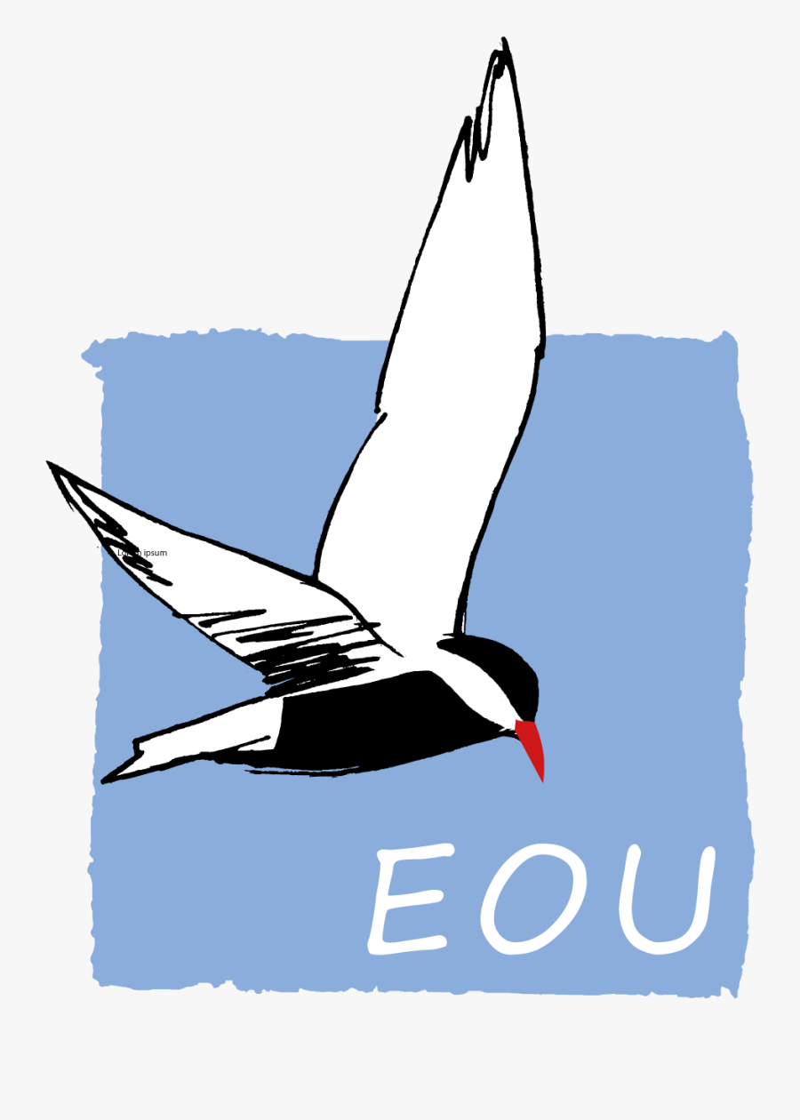 European Ornithologists - European Ornithologists Union, Transparent Clipart
