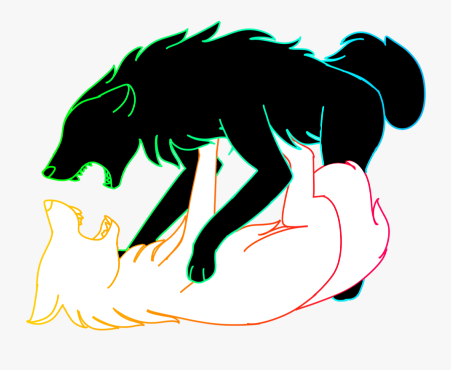 Two Wolves Fighting - Illustration, Transparent Clipart
