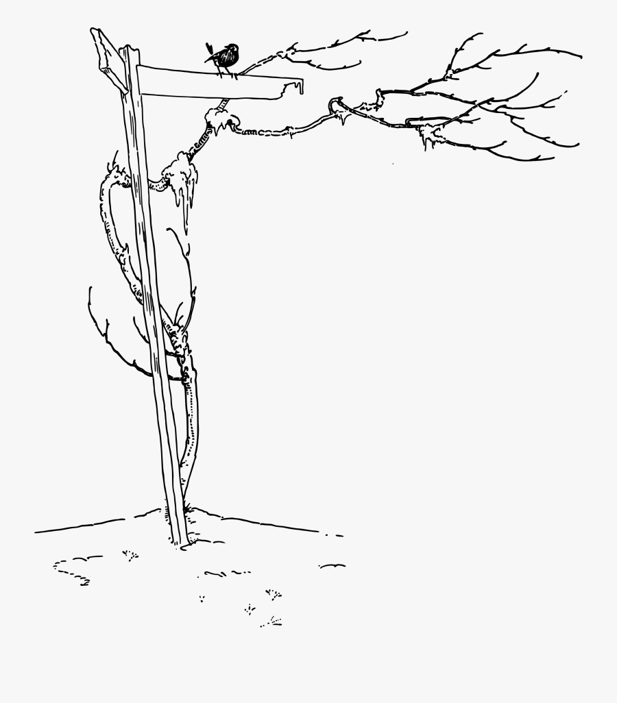 Signpost 3 Clip Arts - Draw Signpost Tree, Transparent Clipart