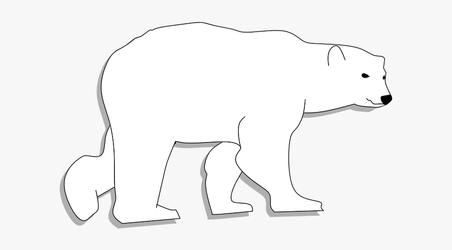 Bear, Animal Head, Animal, Animal Body - Polar Bear, Transparent Clipart