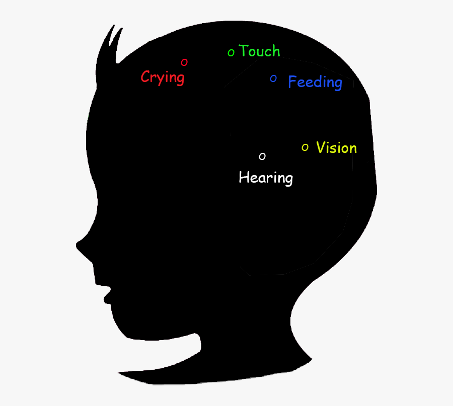 baby brain development 2 months