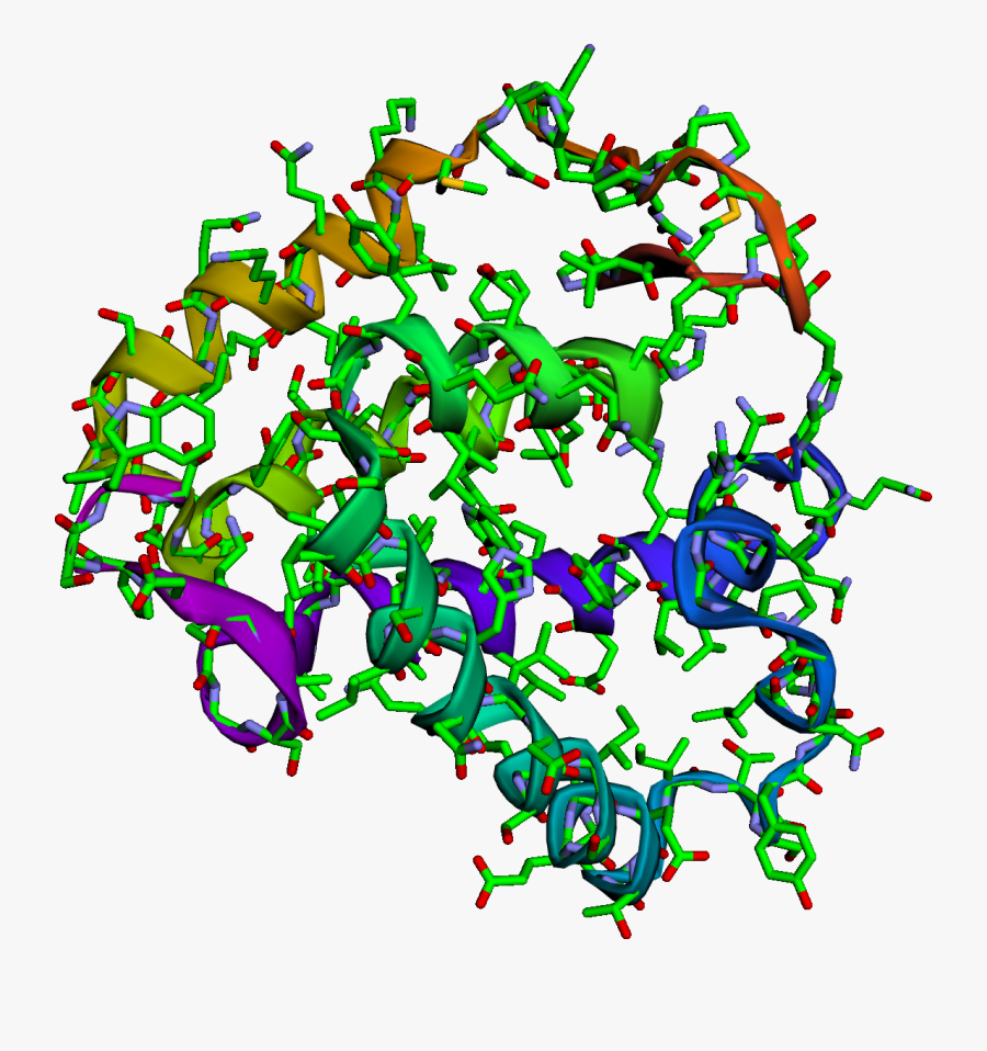 Protein, Transparent Clipart