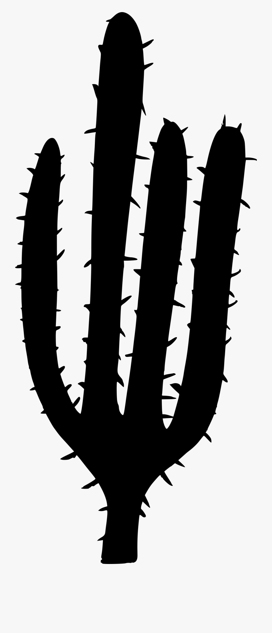 Cactus, Transparent Clipart