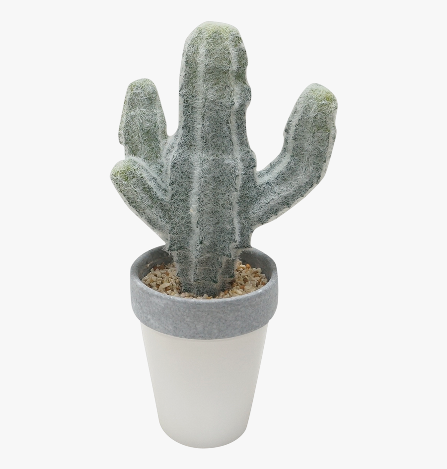 Clip Art Faux Cephalocereus With Ceramic - Hedgehog Cactus, Transparent Clipart