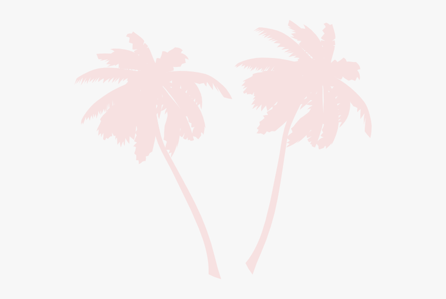 Vector Palm Tree White Png, Transparent Clipart