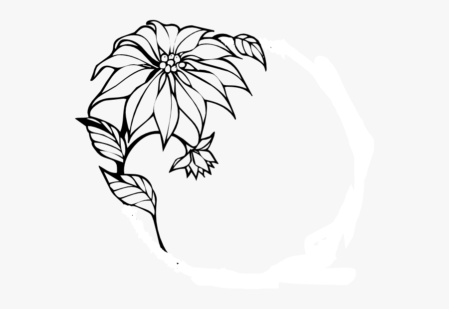 Christmas Flower Clip Art - Drawing Of Border Designs, Transparent Clipart