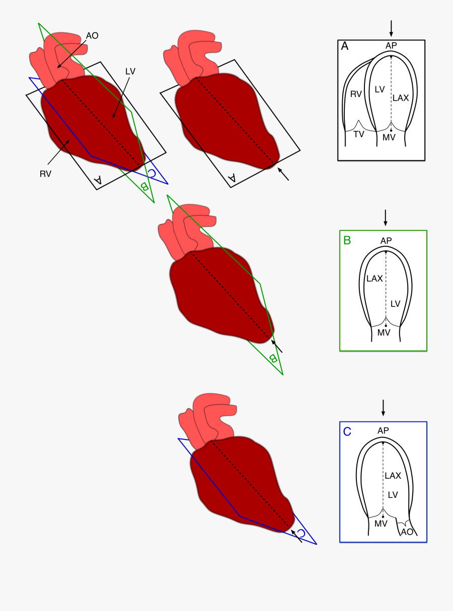 Diagram, Transparent Clipart