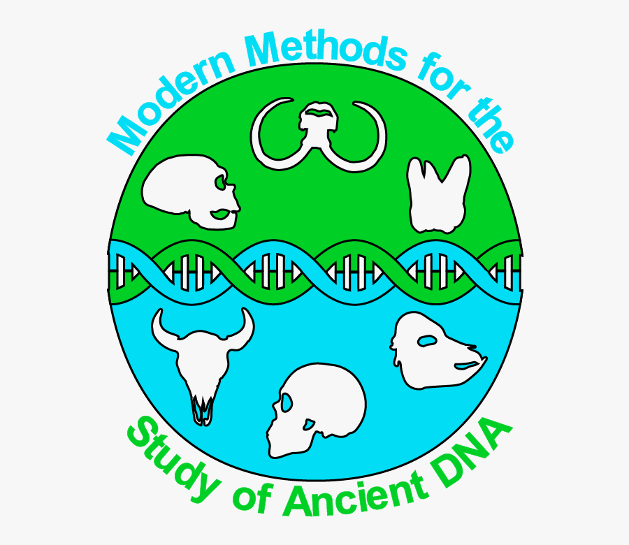 Smbe Satellite Meeting On Modern Methods For The Study - Newark Town Football Club, Transparent Clipart