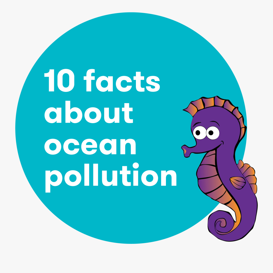 Portfolio Institutional, Transparent Clipart