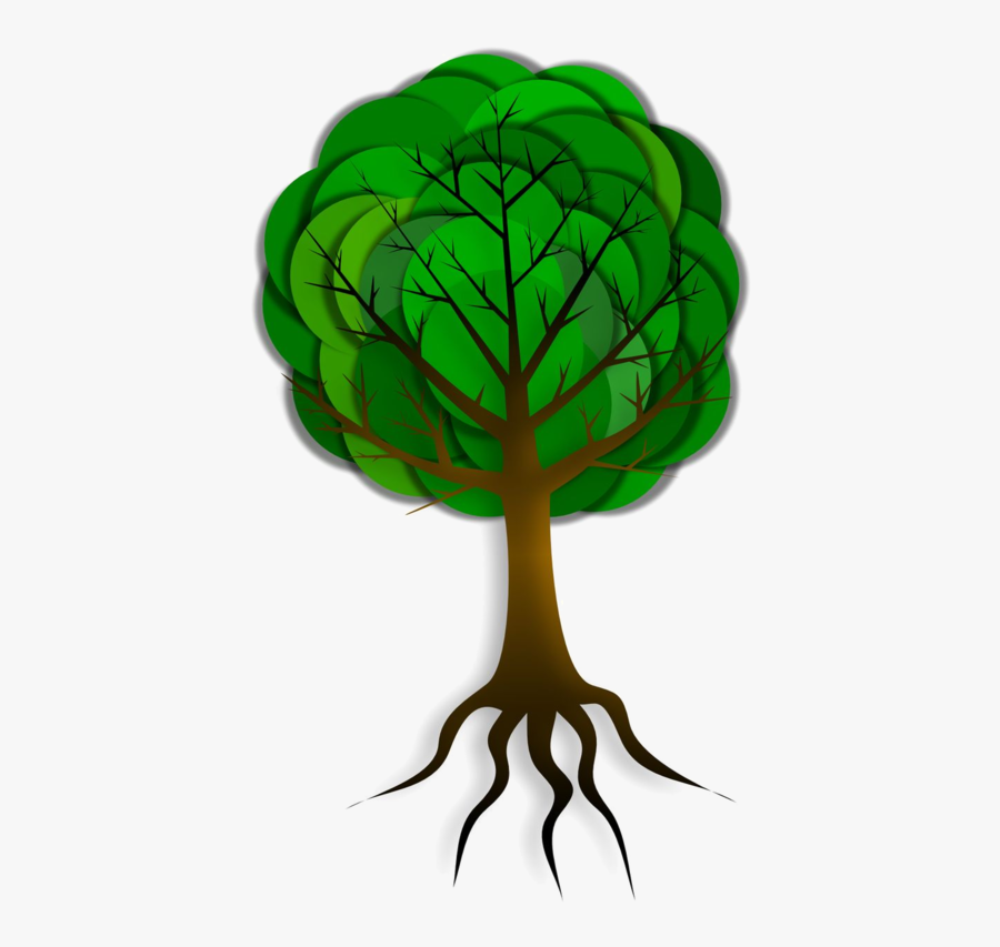 Tree Roots Drawing Simple, Transparent Clipart