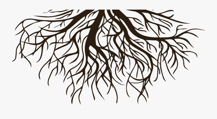 Drawing Clip Art Root Vector Graphics Tree - Transparent Tree Of Life, Transparent Clipart