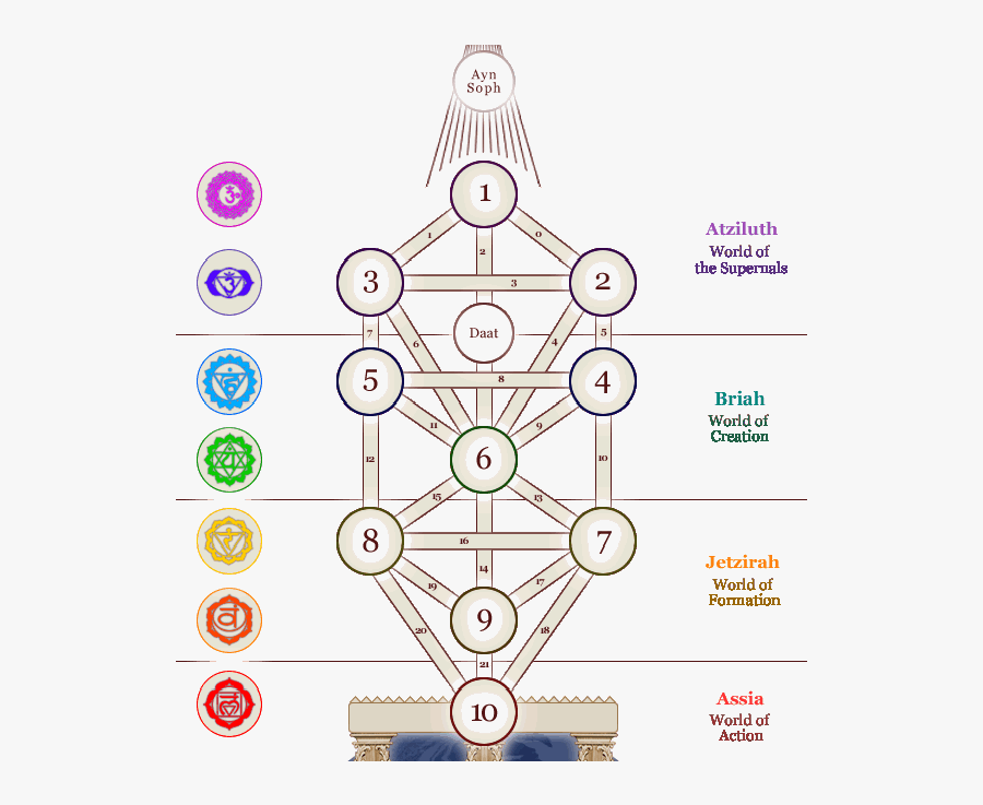 Clip Art Royalty Free Download First Root Base Of The - Tree Of Life Kundalini Chakras, Transparent Clipart