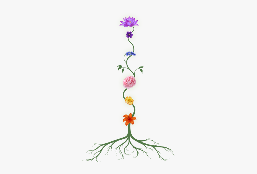 Chakra Woman Meditation, Transparent Clipart