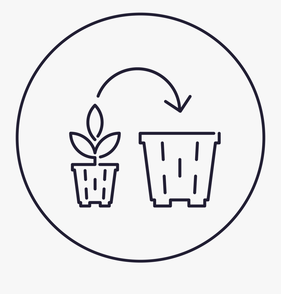 Circle, Transparent Clipart