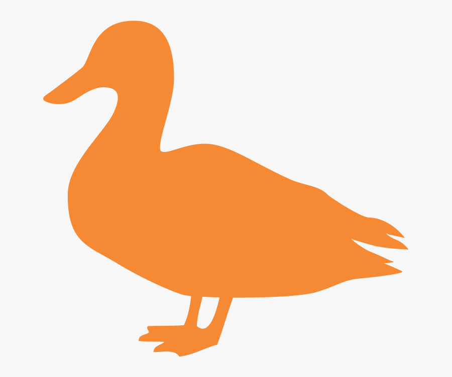 Blue Duck, Transparent Clipart