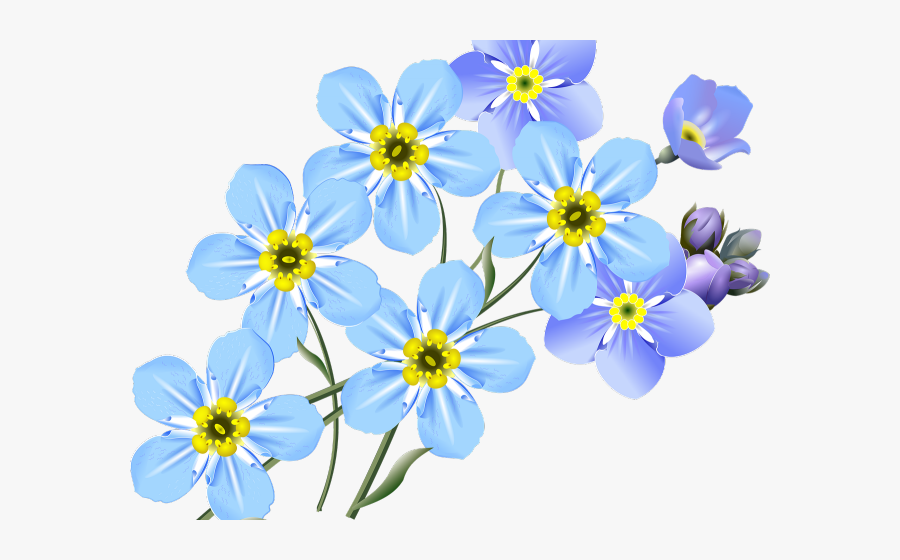 Forget Me Not Clipart Bunch - Drawing Forget Me Not, Transparent Clipart