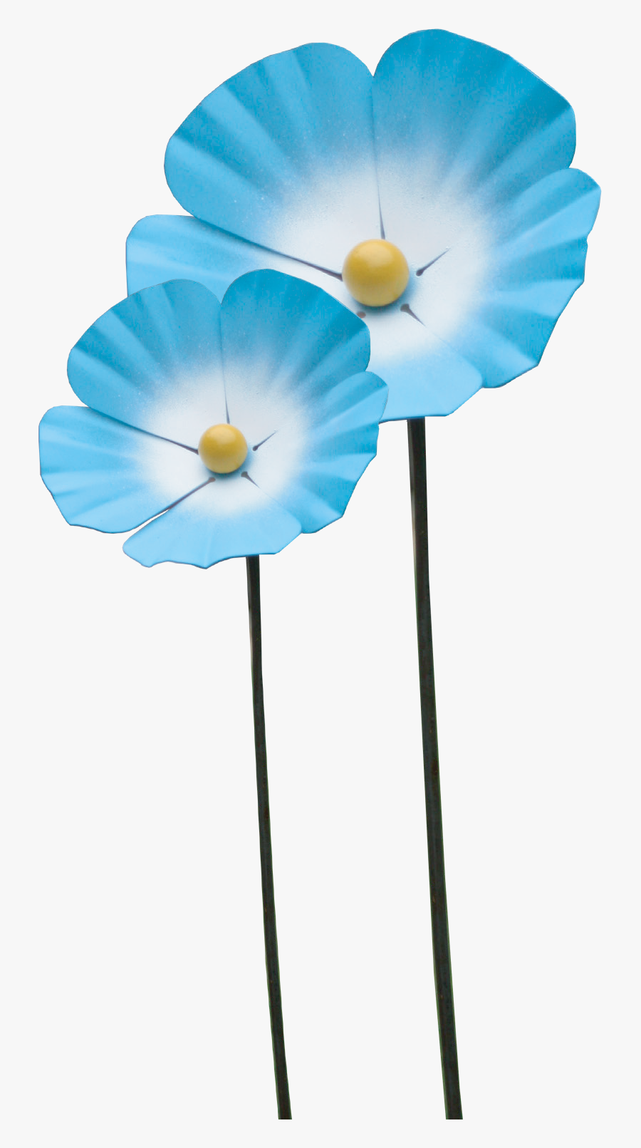 St Barnabas Forget Me Not, Transparent Clipart