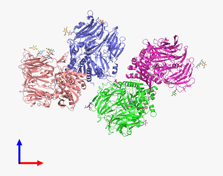 Illustration, Transparent Clipart