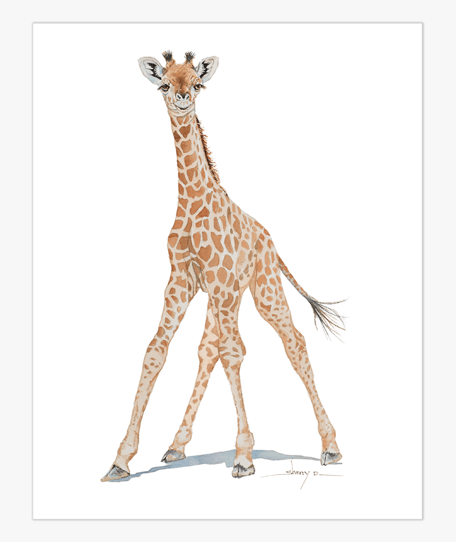 Baby Giraffe Wall Art"
 Class= - Giraffe, Transparent Clipart