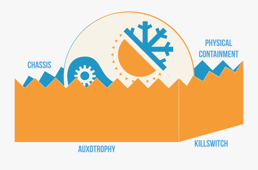 Graphic Design, Transparent Clipart