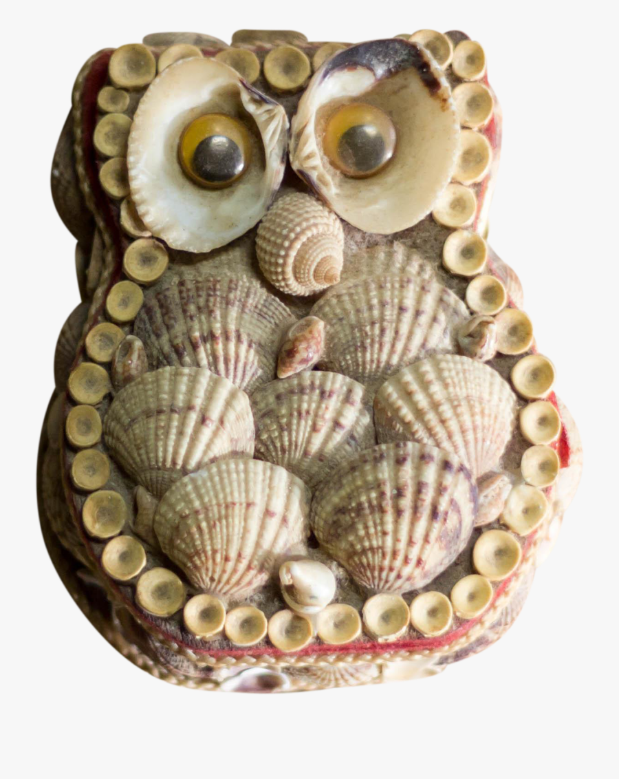 Clip Art Shell Pictures Art - Shell, Transparent Clipart