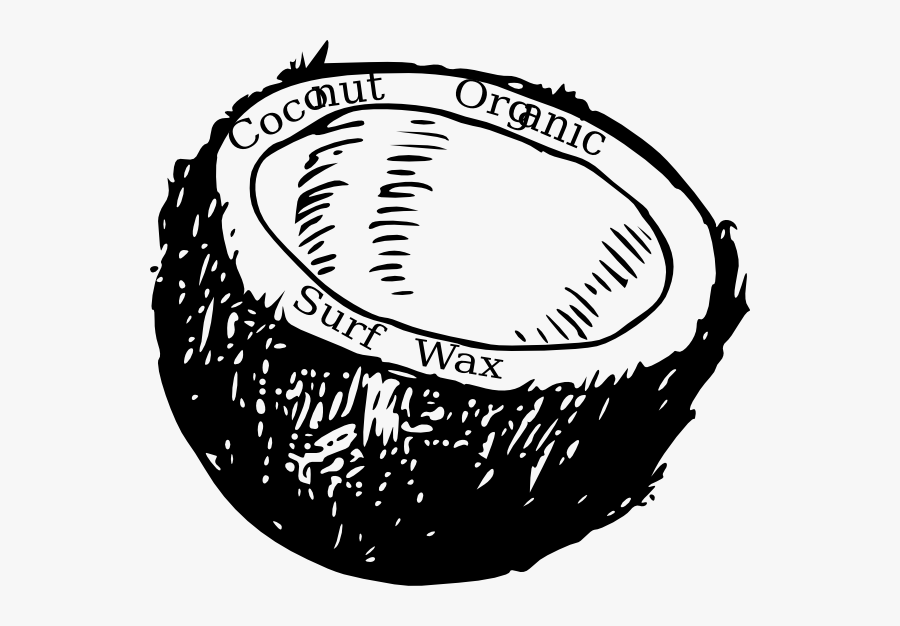 Coconut Clipart Black And White, Transparent Clipart