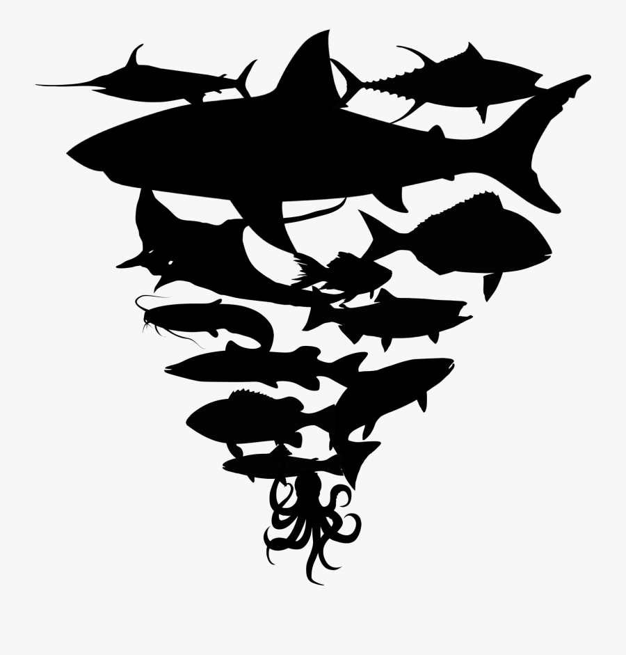 Billfish, Transparent Clipart