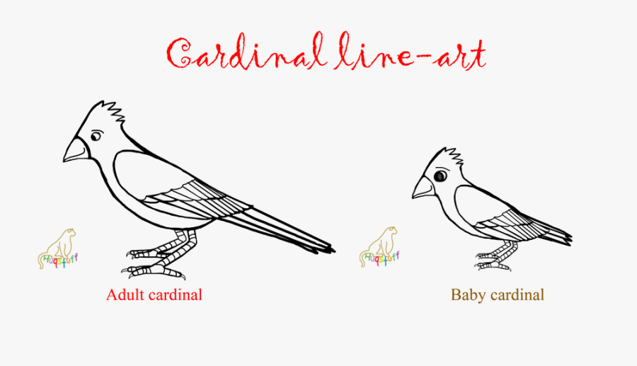 Cardinal Bird Lineart - Pigeons And Doves, Transparent Clipart