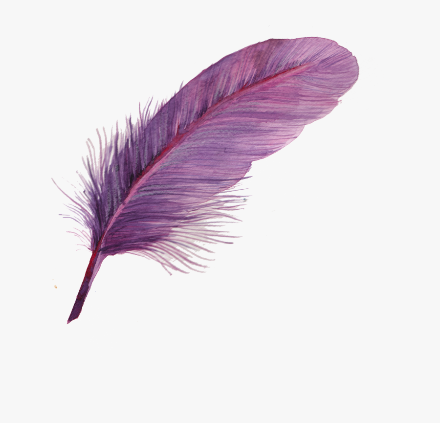Feather Png Download - Purple Feather Transparent, Transparent Clipart
