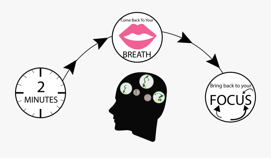 Transparent Body Clipart, Transparent Clipart