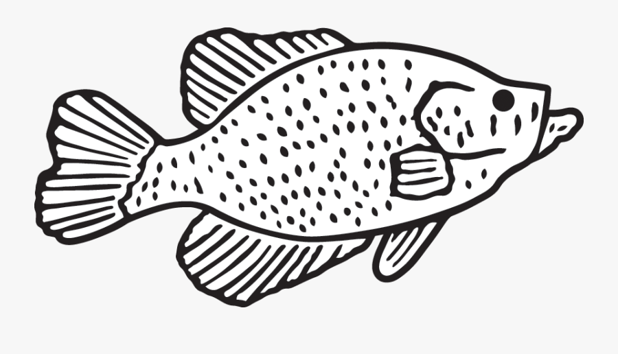 Marine01 - Line Art, Transparent Clipart