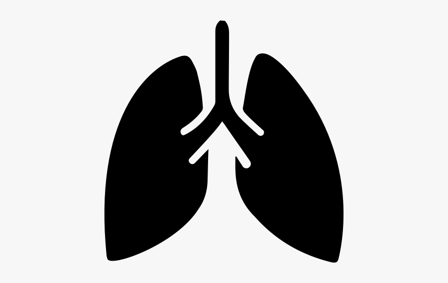 Lungs - Lungs Icon, Transparent Clipart