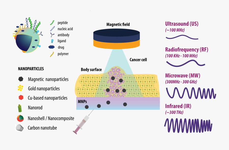 Diagram, Transparent Clipart