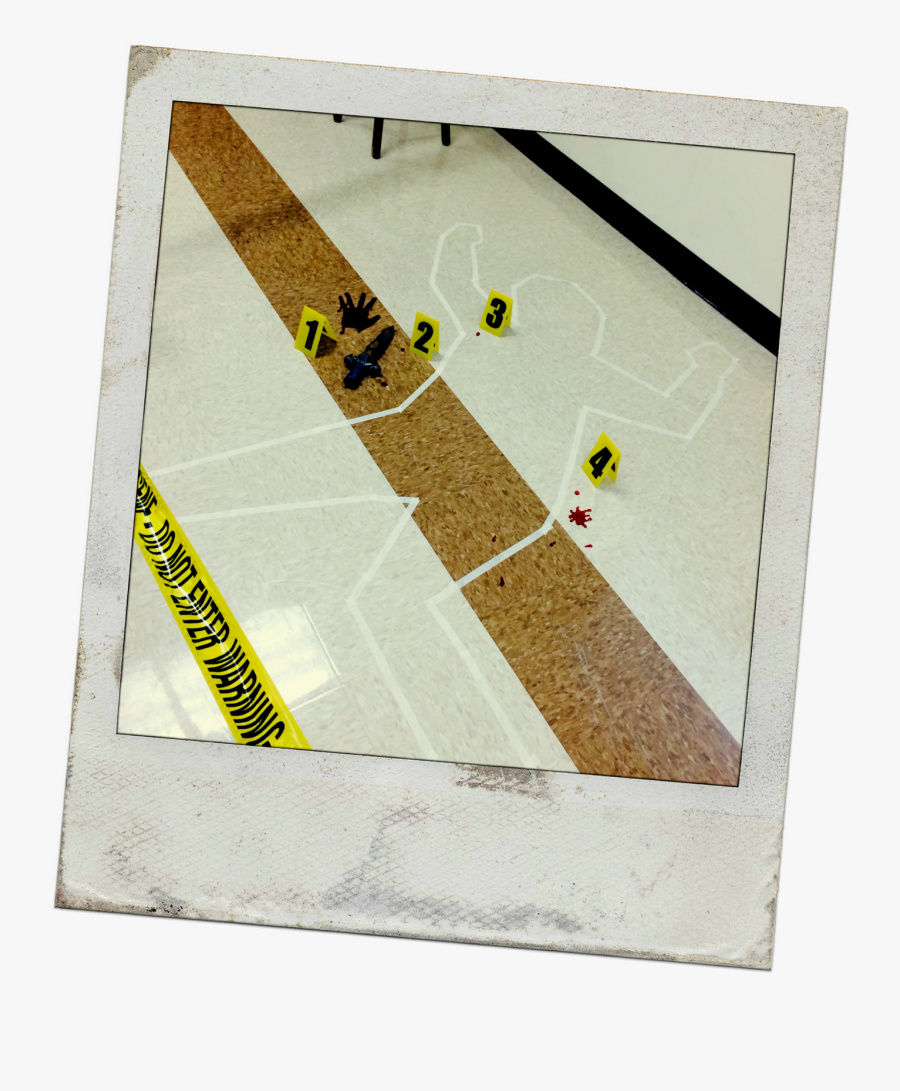 Wood, Transparent Clipart