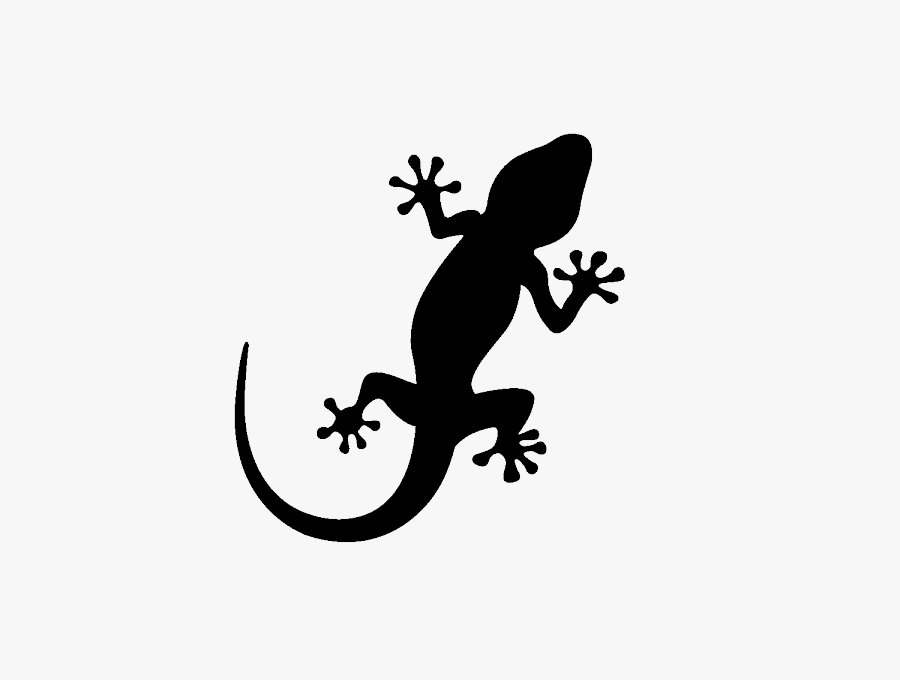 Ibiza Gecko, Transparent Clipart