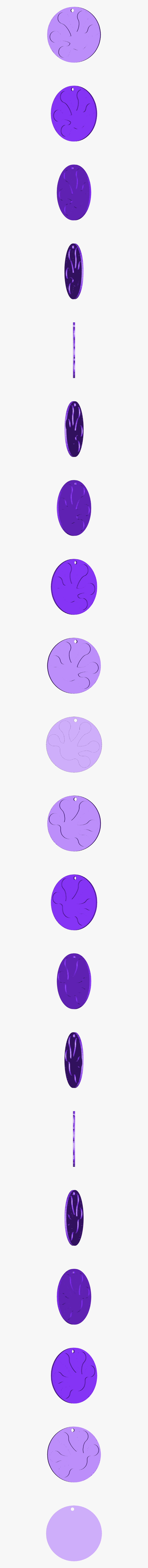 Circle, Transparent Clipart