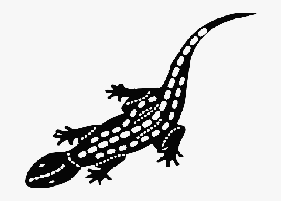 Gecko Fotor, Transparent Clipart