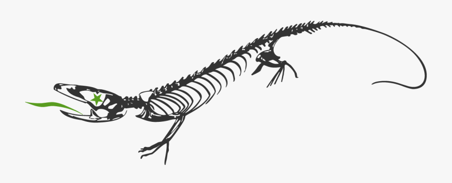 Fahrschule Gisler Geko, Transparent Clipart