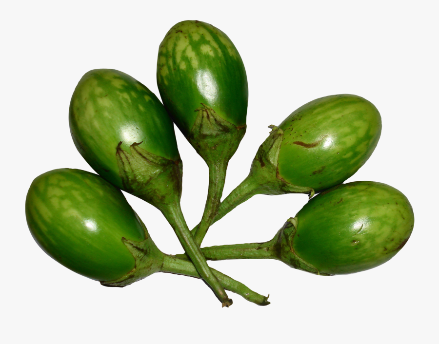 Brinjal Green Png Image - Brinjal Green Png, Transparent Clipart