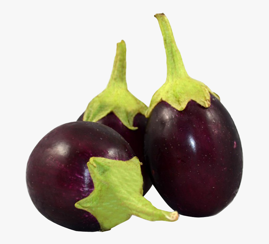Brinjal Png Images - Brinjal Png, Transparent Clipart