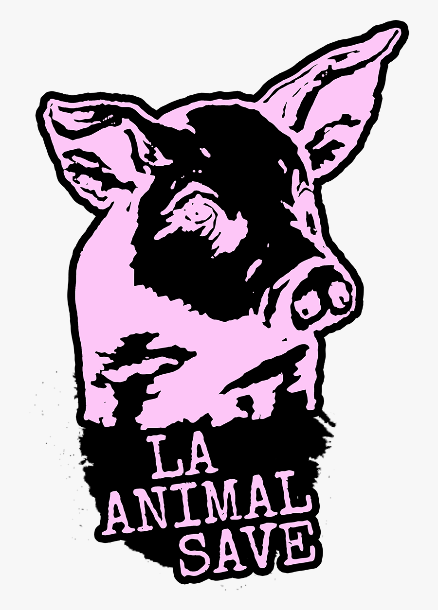Pig Vigil Information - Illustration, Transparent Clipart