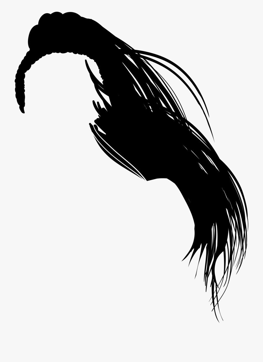 Hair Afro Clip Art - Long Hair Silhouette Png, Transparent Clipart