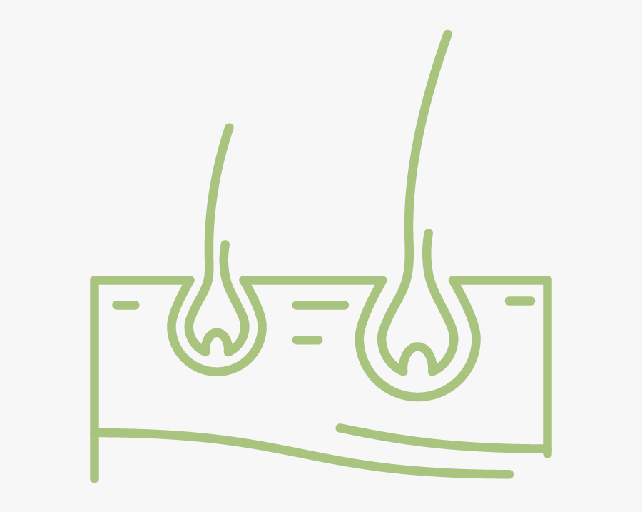 Airdrie Hair Rejuvenation, Transparent Clipart