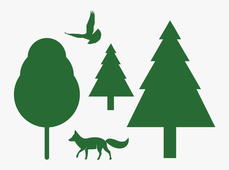 Healthy Forests & Wildlife Graphic - 雪景 色 イラスト, Transparent Clipart