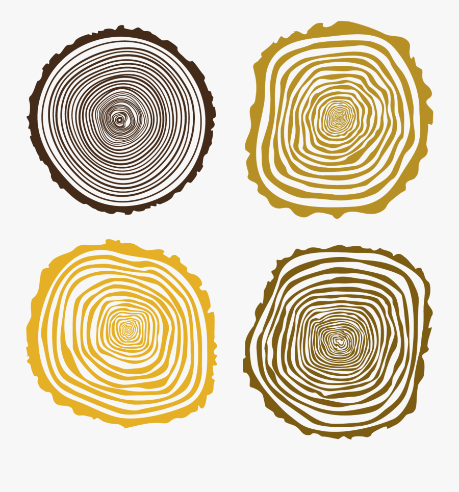 Circle, Transparent Clipart